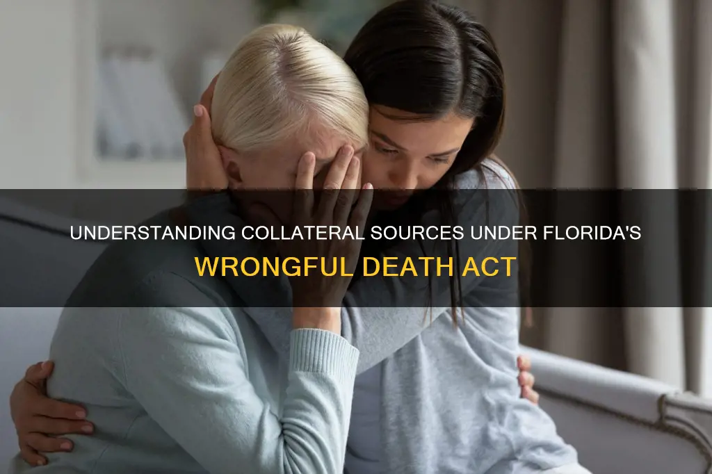 what constitutes collateral sources under florida wrongful death act