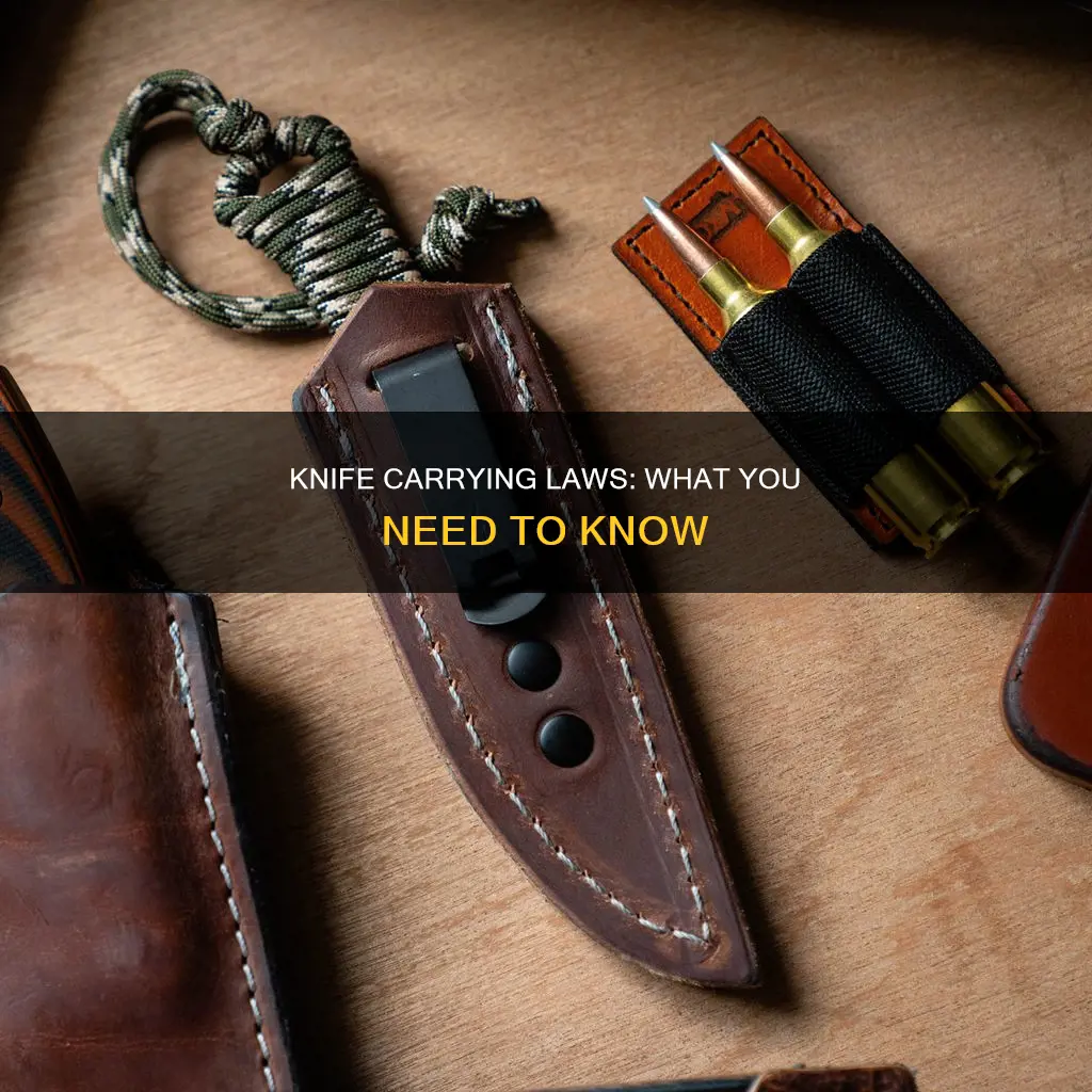 what constitutes concealed carry knife