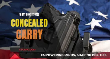 Understanding the Legal Definition of Concealed Carry