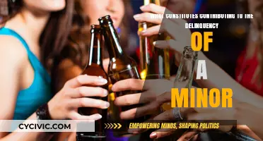 Understanding Minor Delinquency: What Constitutes Contributing Factors?