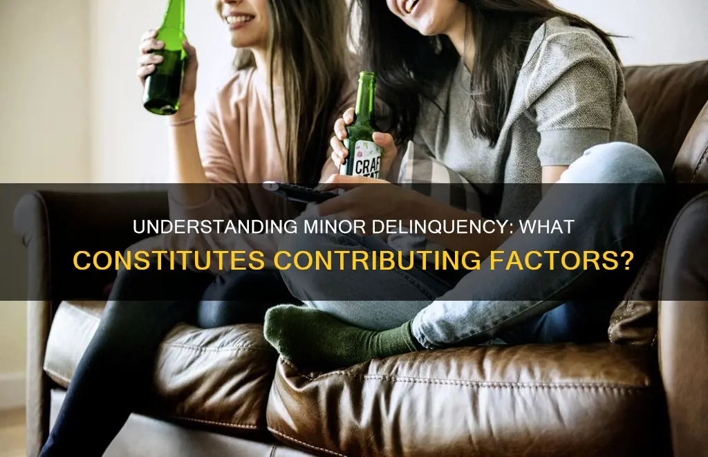 what constitutes contributing to the delinquency of a minor