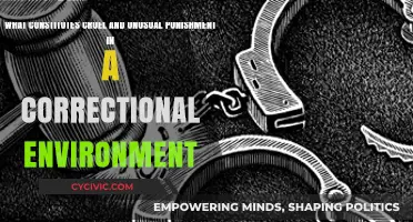 Cruel and Unusual Punishment: Correctional Ethics Explored