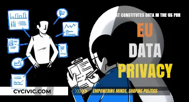 US Data Privacy: What's the EU Take?