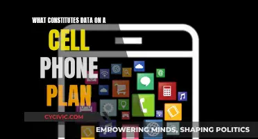 Cell Phone Data Plans: Understanding Usage and Costs