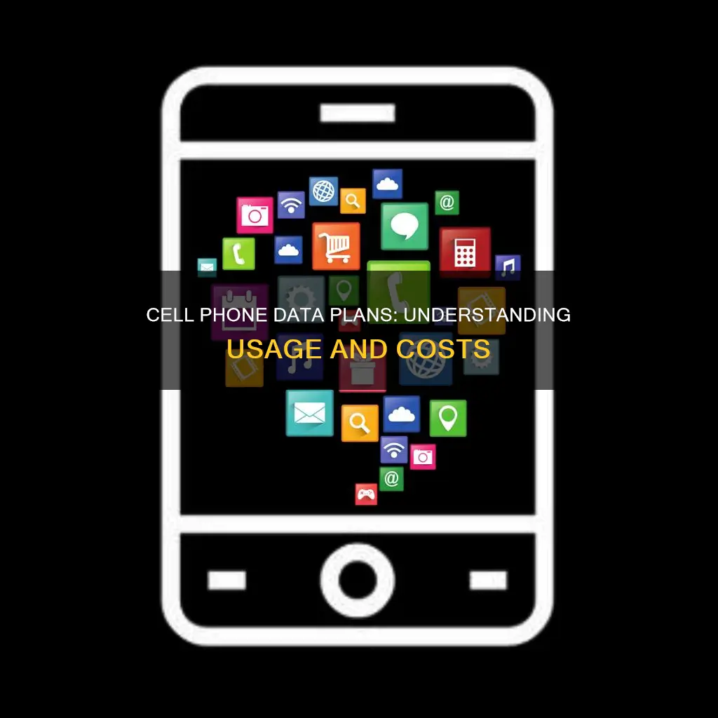 what constitutes data on a cell phone plan