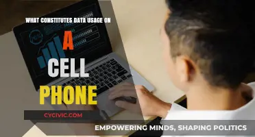 Cell Phone Data Usage: What Consumes Your Data?