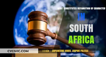 Defamation Law in South Africa: Understanding Character Assault
