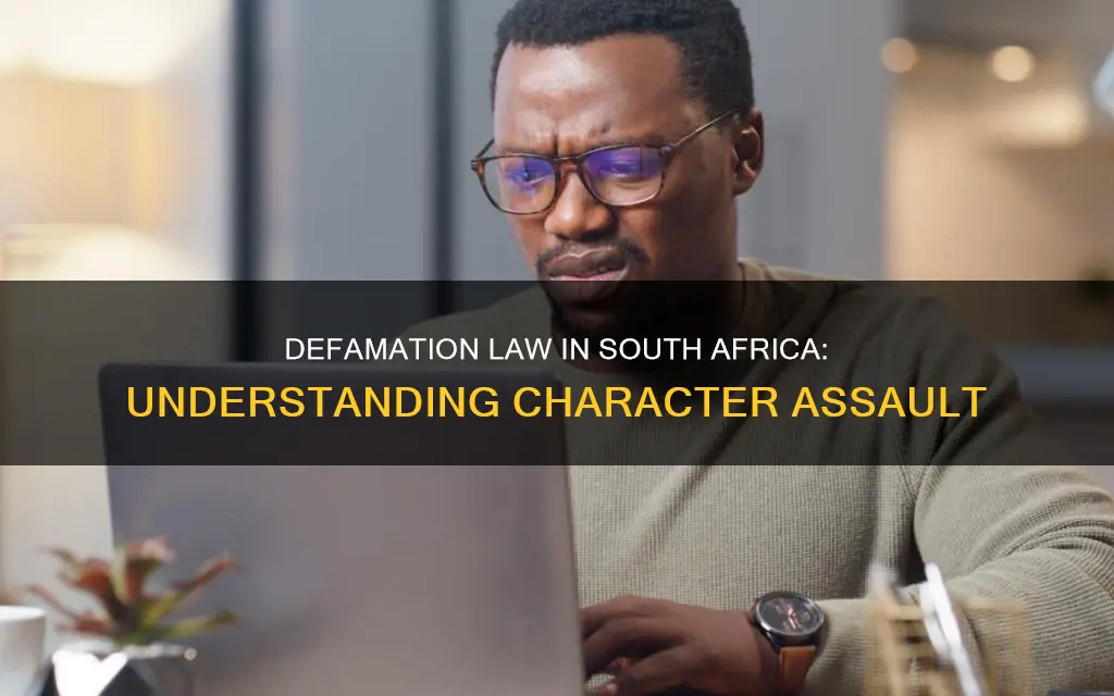 what constitutes defamation of character in south africa