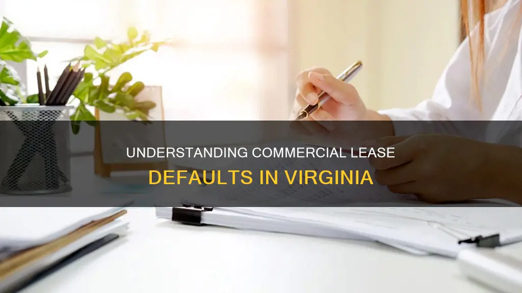 what constitutes default in a commercial lease virginia