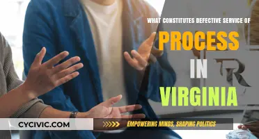 Process Service Defects: Virginia Law Explained