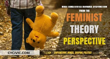 Deviance Dysfunction: Feminist Theory's Perspective