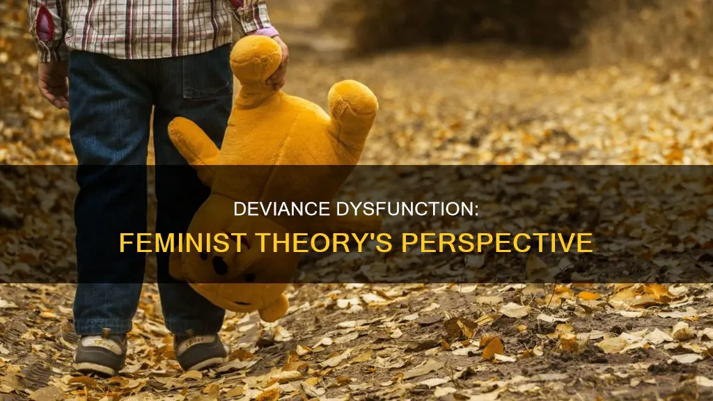 what constitutes deviance dysfunction from the feminist theory perspective