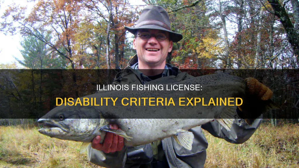 what constitutes disabled for fishing license in illinois