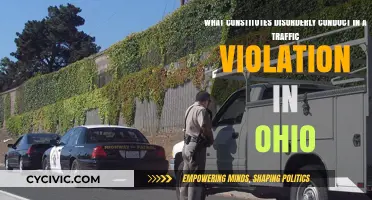 Traffic Violations: Ohio's Disorderly Conduct Laws Explained