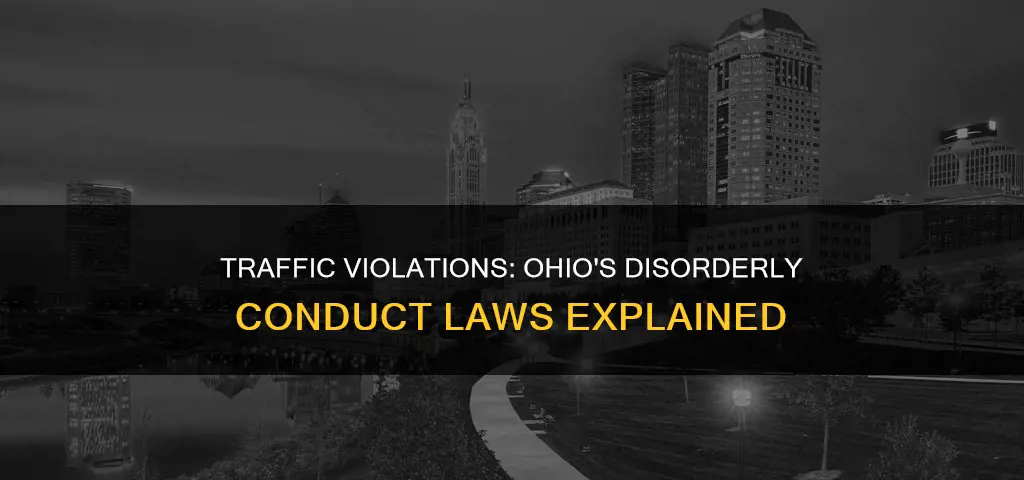 what constitutes disorderly conduct in a traffic violation in ohio