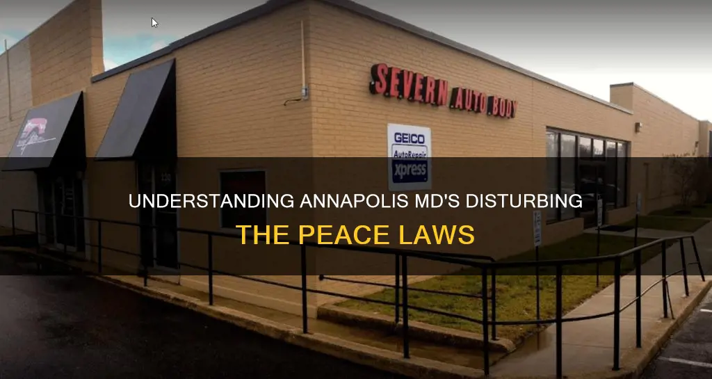 what constitutes disturbing the peace in annapolis md