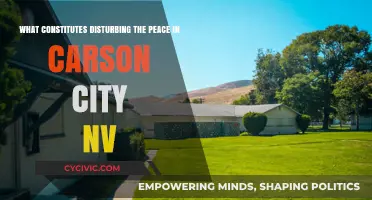 Carson City Peace Disturbing Laws Explained