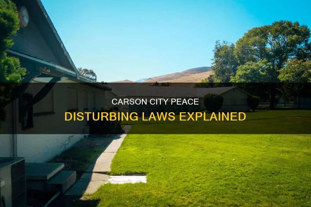 what constitutes disturbing the peace in carson city nv