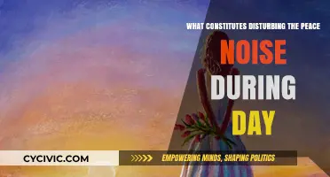 Daytime Noise: What's Considered Disturbing the Peace?