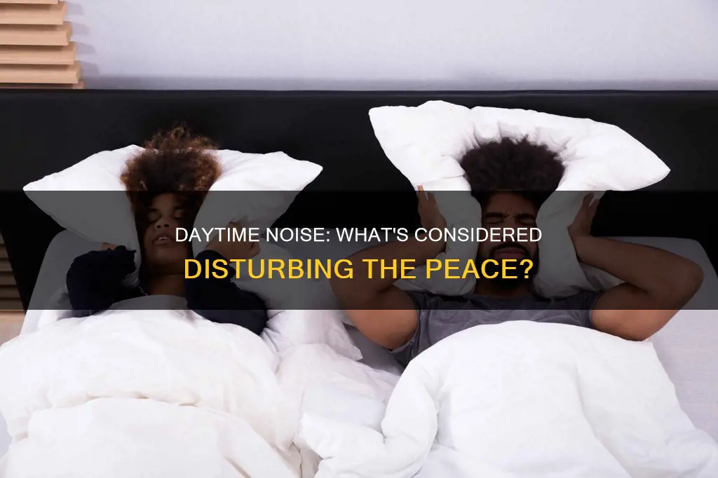 what constitutes disturbing the peace noise during day
