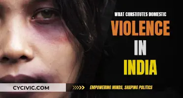 Understanding India's Definition of Domestic Violence