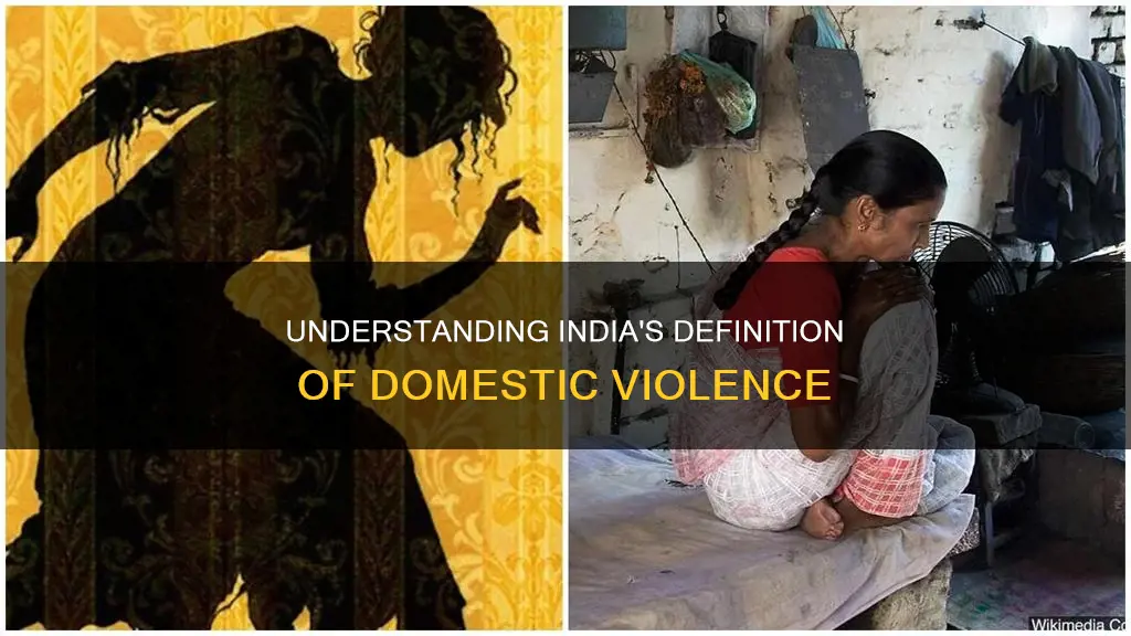 what constitutes domestic violence in india