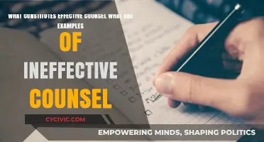 Effective Counsel: What Makes a Difference?