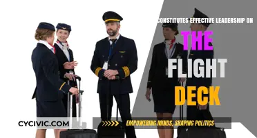 Leadership in the Skies: Effective Flight Deck Strategies