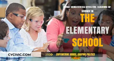 Effective Science Teaching in Elementary School: Strategies for Success