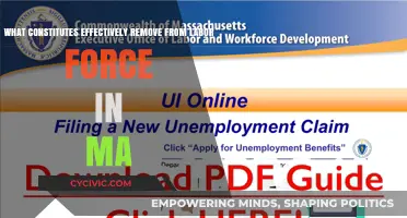 Effective Strategies for Workforce Transition in Massachusetts