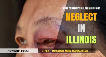 Understanding Elder Abuse and Neglect in Illinois