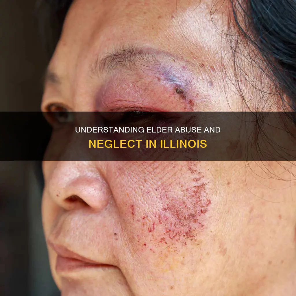 what constitutes elder abuse and neglect in illinois