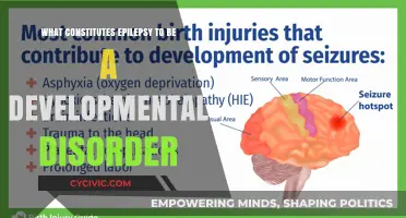 Understanding Epilepsy: A Developmental Disorder