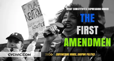 Understanding First Amendment Expression Rights