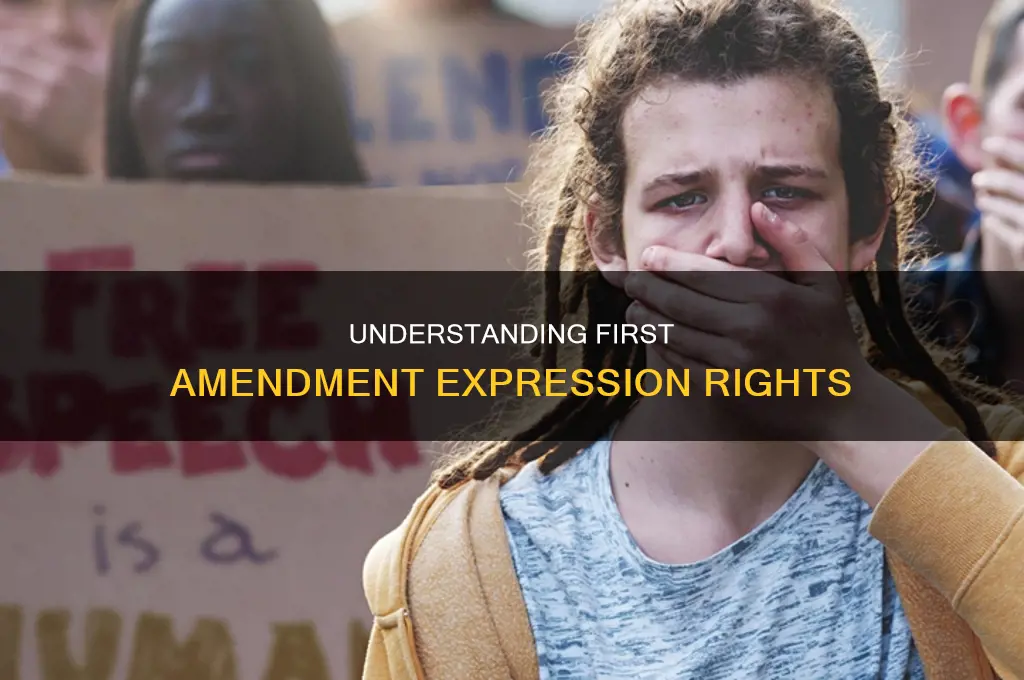 what constitutes expression under the first amendment