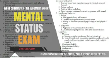 Fair Judgment: Understanding the Mental Status Exam