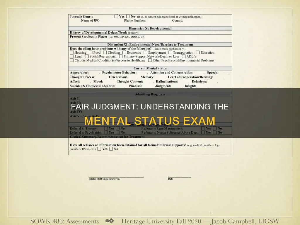 what constitutes fair judgment and insight mental status exam