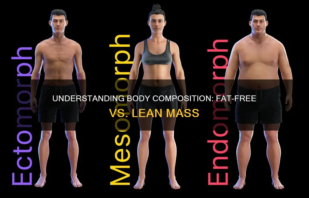 what constitutes fat free and lean body mass