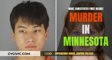 Murder in Minnesota: Understanding First Degree Charges