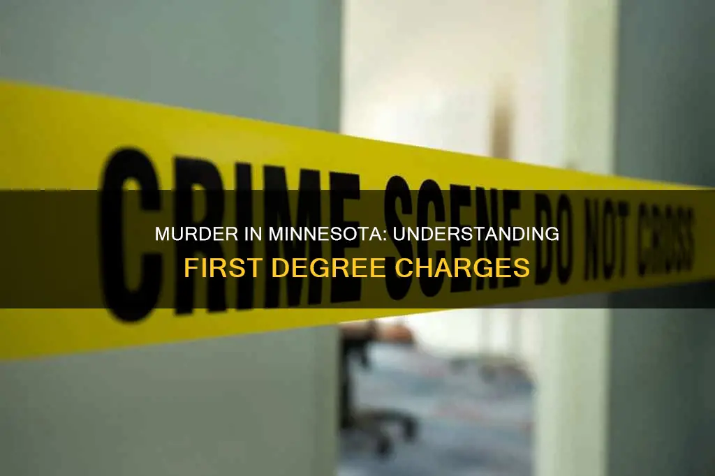 what constitutes first degree murder in minnesota