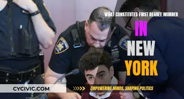 Understanding First Degree Murder in New York Law