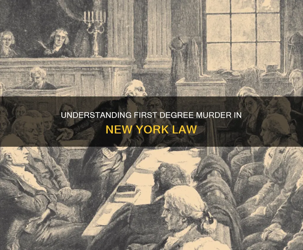 what constitutes first degree murder in new york