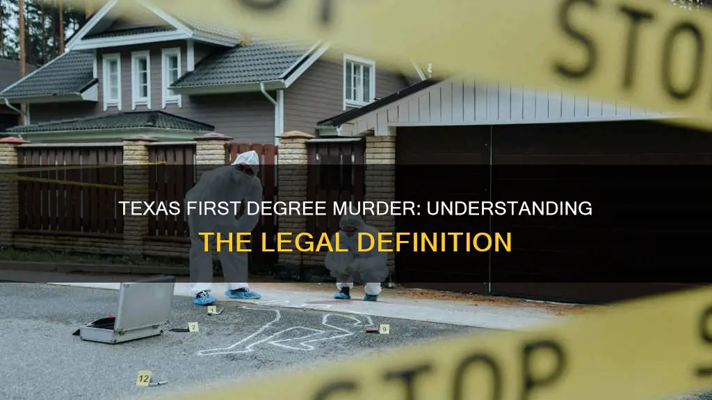 what constitutes first degree murder in texas