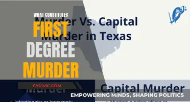 Murder in the First Degree: Understanding the Legal Definition