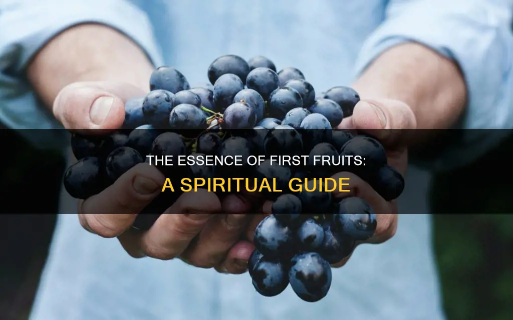 what constitutes first fruit