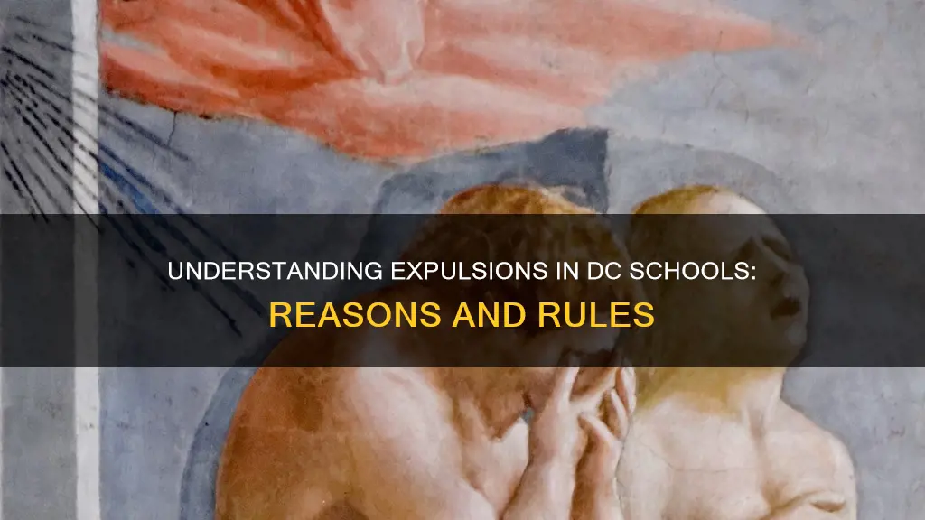 what constitutes for a expulsion for dc schols