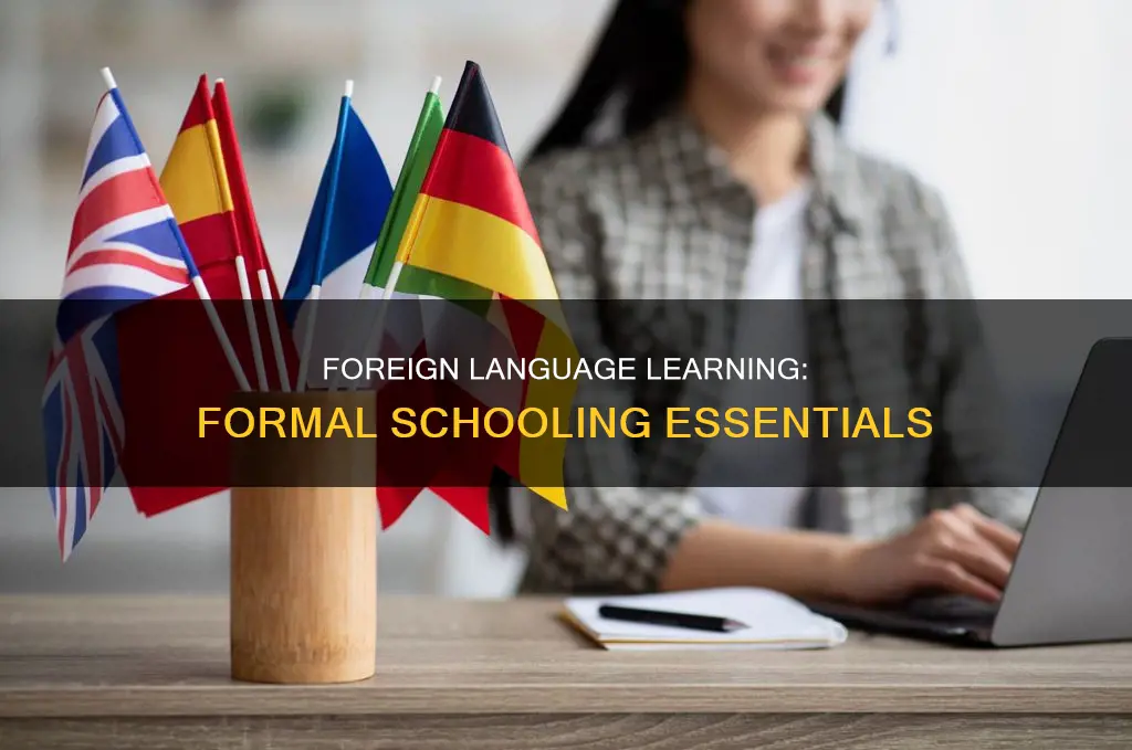 what constitutes formal schooling in a foreign language