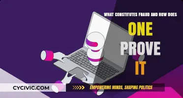 Unraveling Fraud: Evidence and Proof