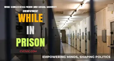 Prisoners and Fraud: Understanding Social Security Overpayments