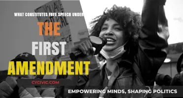 Understanding Free Speech Rights: First Amendment Focus